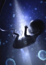 О периодическом законе эмбрионального развития человечества (с точки зрения дилетанта). Мягких Ю.П. - скачать книгу. 
