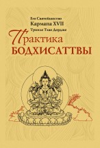 Практика Бодхисаттвы. Тринле Тхае Дордже (Кармапа XVII) - скачать книгу. 