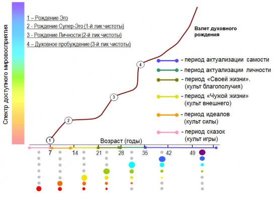 Рис.3. Динамика духовного пробуждения и работы чакр энергообмена при успешной актуализации самости