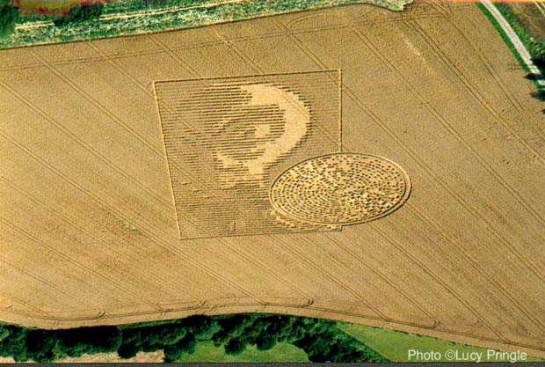 Круги на полях: Изображение на пшеничном поле