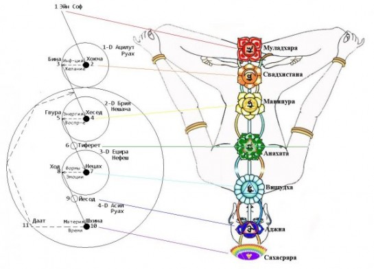 Схема соответствия уровней древа Сефирот и чакр