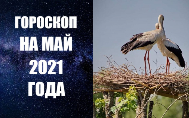 Гороскоп на май 2021 года - общий и по знакам Зодиака. Фото