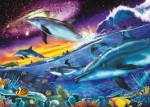 Планета дельфинов. Фото