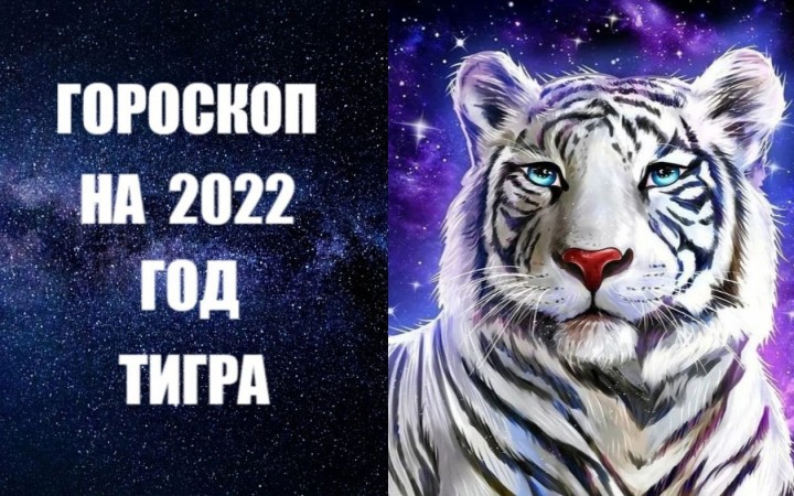 Гороскоп на 2022-й - Год  Голубого Водяного Тигра. Фото