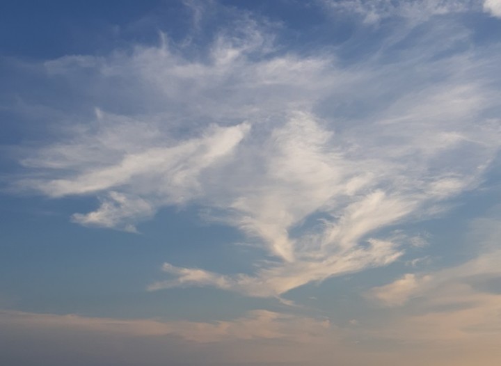 Как помочь Земле? Антикризисный флешмоб "Духи облаков". Фото
