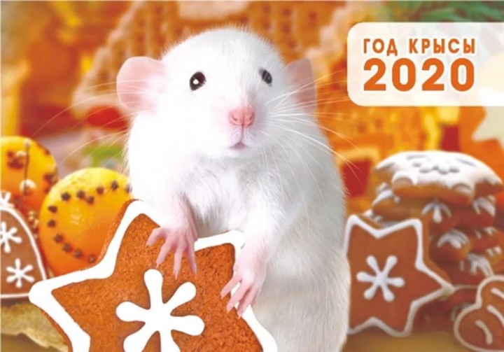 Гороскоп на 2020 год Крысы. Фото