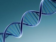 Волновая структура ДНК. Мелодии и Слово