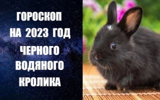 Гороскоп на 2023 год Черного Водяного Кролика (Кота)