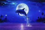 Архангел Метатрон. Священные Китовые. Возрождение энергии Золотого Дельфина. Фото