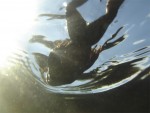 Упражнение «Плывущая лягушка». Лечение щитовидной железы. Фото