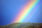 Медитация с цветами радуги. Фото