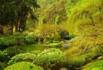 Сад Души. Фото