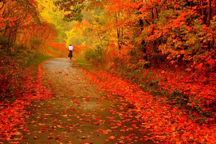 Колдунья осень. Фото