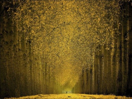 Золотой тропой. Фото