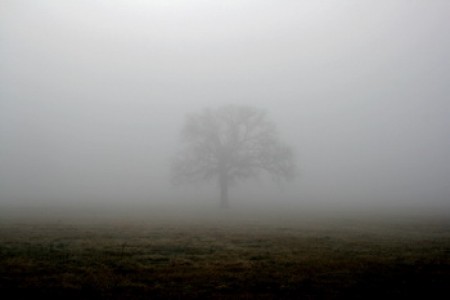 Туман Души. Фото