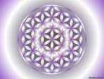 Солнечная (Mila): фотография пользователя сайта Живое Знание.