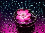 Сабира (soly): фотография пользователя сайта Живое Знание.